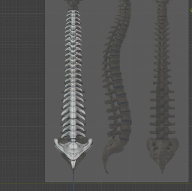 Spine