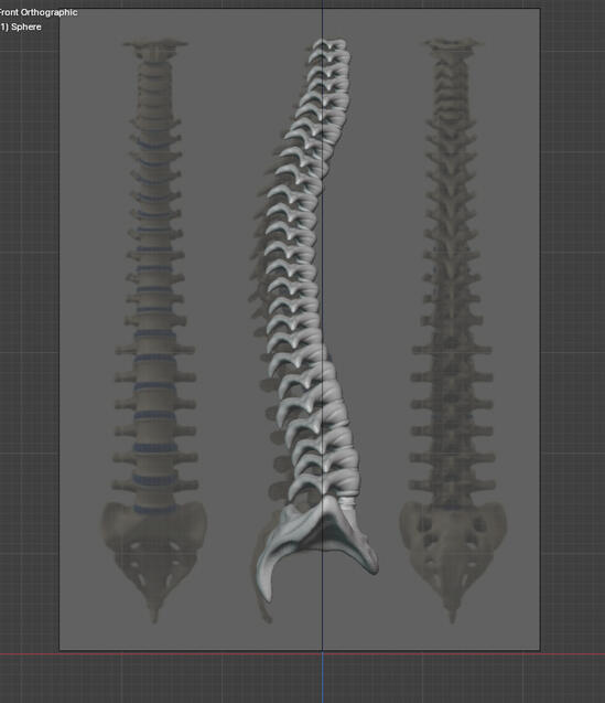 Spine Making Test